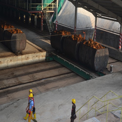 wholesale price palm oil expeller machine china oil press in Ukraine