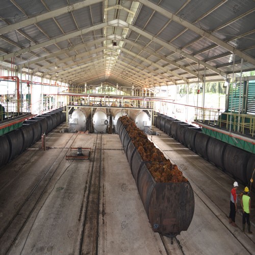 500kg/h palm kernel oil extraction line is ordered by in Kenya