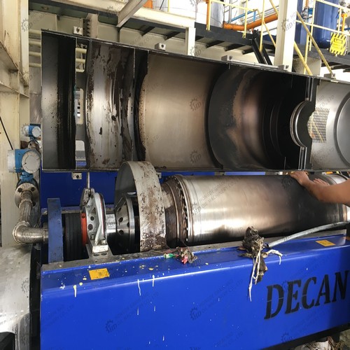 production 300kg/h big cold press palm kernel oil expeller machine
