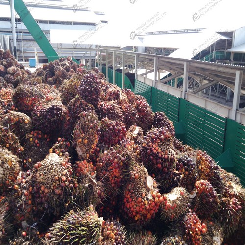 palm fruit oil production line palm oil extraction process