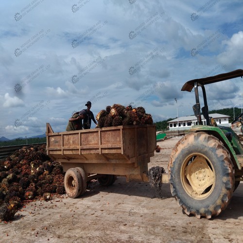 china crude palm kernel oil refining plant for edible in Nigeria
