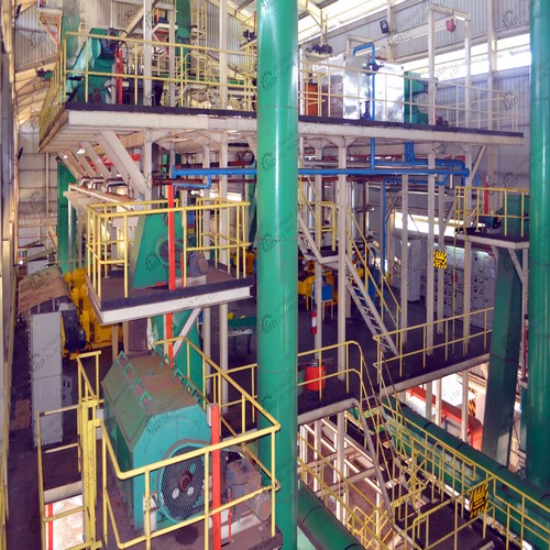 palm kernel oil press screw oil mill machine for sale in Egypt